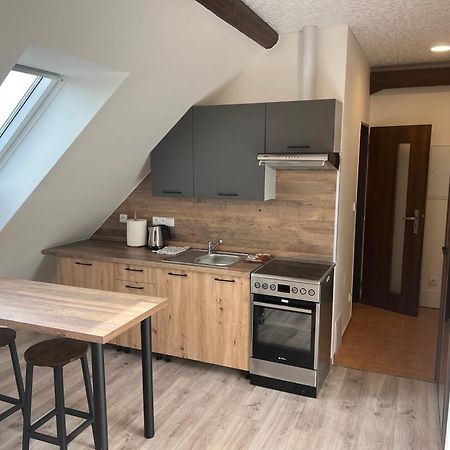 Ubytovani 1Kk Ve Zlonicich Slaný Exteriör bild