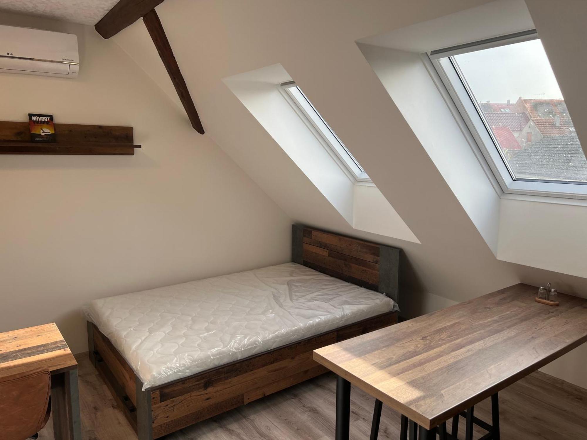 Ubytovani 1Kk Ve Zlonicich Slaný Exteriör bild